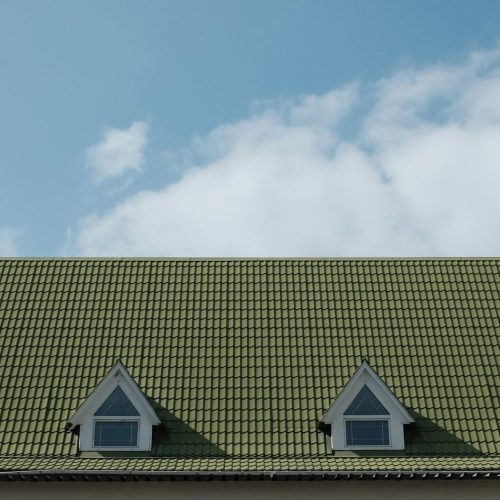 andrej-lisakov--vSka6gZTWM-unsplash